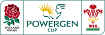 Powergen_Cup_Logo_105.jpg (1872 octets)