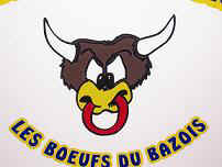 chatillon_en_bazois.jpg (22842 octets)